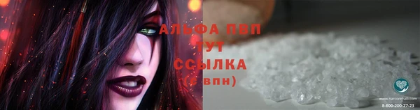 индика Вязники